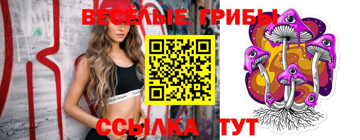 Галлюциногенные грибы прущие грибы  Вход с VPN  Кизляр 