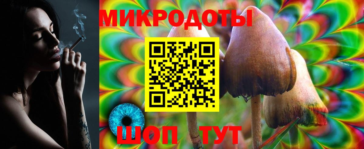 Псилоцибиновые грибы Cubensis Кизляр